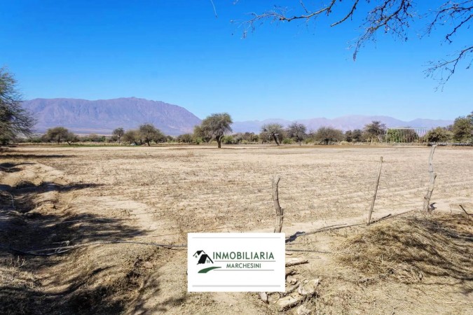 HERMOSA FINCA "LA NORIA" San Carlos