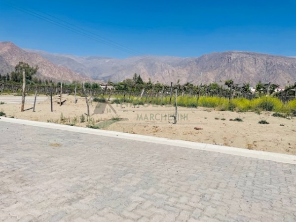 El lote de tus sueños en Cafayate