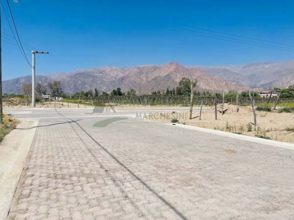 El lote de tus sueños en Cafayate