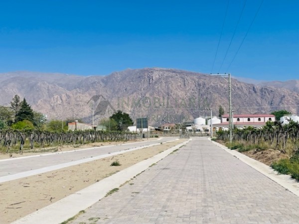 El lote de tus sueños en Cafayate